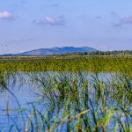 Fünf Hügel von Bestepe, Rumänien