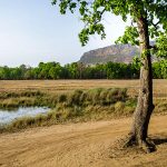 Bandhavgarh Nationalpark
