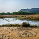 Bandhavgarh Nationalpark