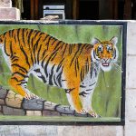 Tiger - Sinnbild in Rajasthan