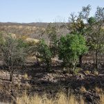 Ranthambore Nationalpark