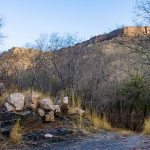 Felsplateau Ranthambore Nationalpark