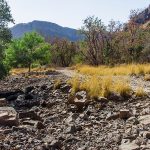 Ranthambore Nationalpark