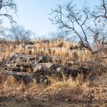 Ranthambore Nationalpark,