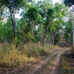 Khana Nationalpark