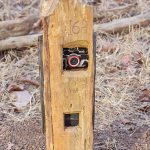 Tiger- Beobachtungs- und -kontrolllsäule im Pench Nationalpark