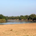 South Luangwa Nationalpark Sambia