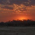 South Luangwa Nationalpark Sonnenuntergang