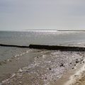 Insel Sylt Wattenmeer