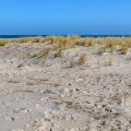 Insel Sylt Wattenmeer
