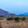 Samburu Nationalpark