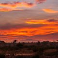 Sonnenaufgang im Samburu Nationalpark