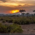 Sonnenaufgang im Samburu Nationalpark