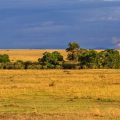 Masai Mara Nationalpark