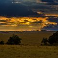 Masai Mara Nationalpark