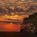 Sonnenuntergang im Pantanal