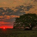 Sonnenuntergang im Pantanal