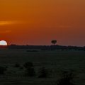 Abend in der Masai Mara