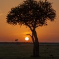 Abend in der Masai Mara