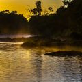 Morgenstimmung am Mara Fluss