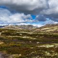Rondane Nationalpark Norwegen