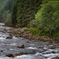 Fluss auf der Fahrt zur Roldal Stabkirche