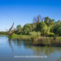 Exkursion durch das Donaudelta