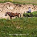 Pferdefuhrwerk, Rumänien