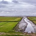 Wattenmeer bei Wester Spätinge, Nordfriesland