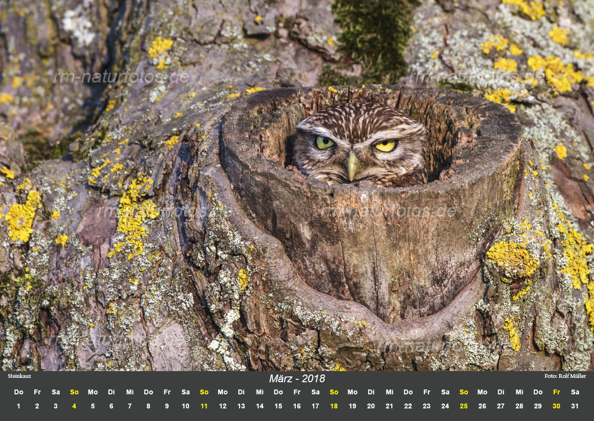 Kalender 2018 DIN A2 | Naturfotografie – Rolf Müller
