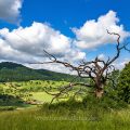 Naturschutzgebiet Eichhalde mit Burg Teck, Bissinger Tal, Schwäbische Alb