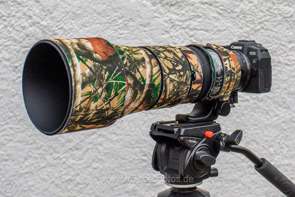 Sigma 150-600 mm, EOS RP