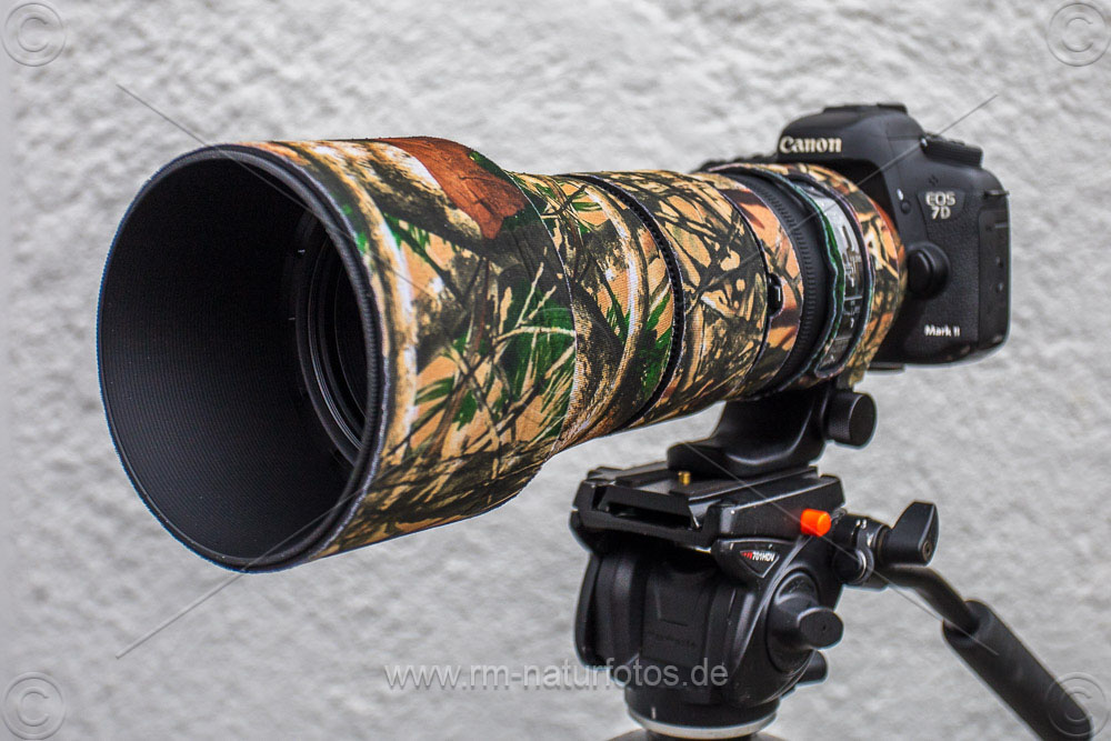 Sigma 150-600 mm, EOS 7D Mark II