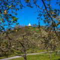 Wurmlinger Kapelle, Wurmlingen, Baden-Württemberg