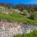 Trockenrasen und Trockenmauern im Gebiet der Wurmlinger Kapelle