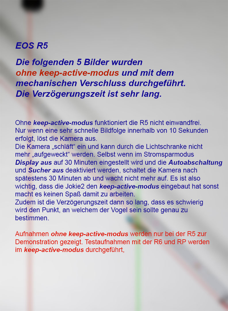 R5 ohne keep-active