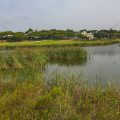 Sao Lourenco Bird Hide bei Quinta do Lago