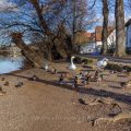 Fotolocation Neckar