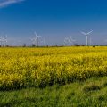 Windkrafträder auf Fehmarn