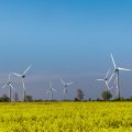 Windkrafträder auf Fehmarn