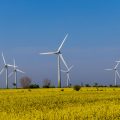 Windkrafträder auf Fehmarn
