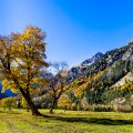 Großer Ahornboden, Karwendel, Österreich