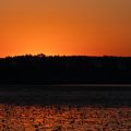 Sonnenaufgang am Federsee, Bad Buchau