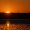 Sonnenaufgang am Federsee, Bad Buchau