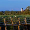 Am Federsee, Bad Buchau