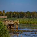 Am Federsee, Bad Buchau