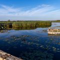 Brutfloß für Seeschwalben und Möwen